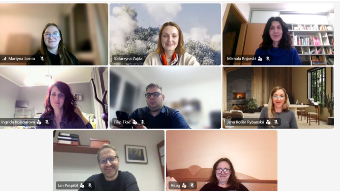 [Translate to English:] Meeting on-line